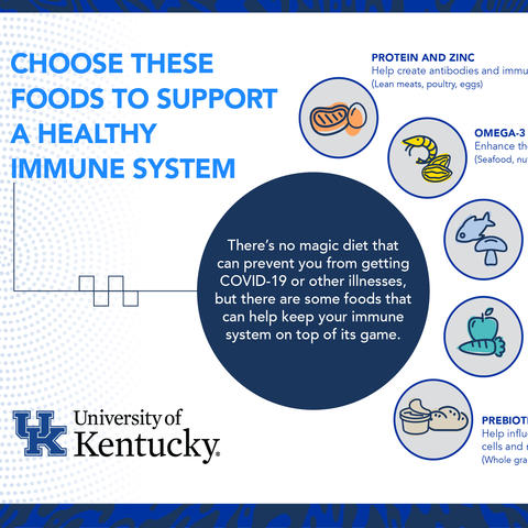 Immune System infographic