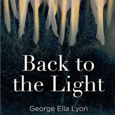 "Back to the Light" cover artwork