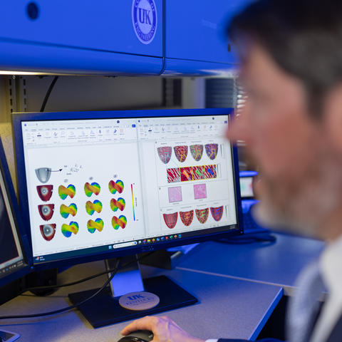 Photo of Professor Analyzing Research on Computer Screen