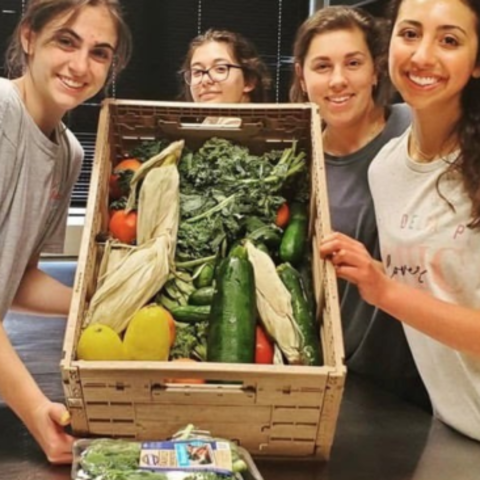 Sustainability Summer Research Fellowship students 