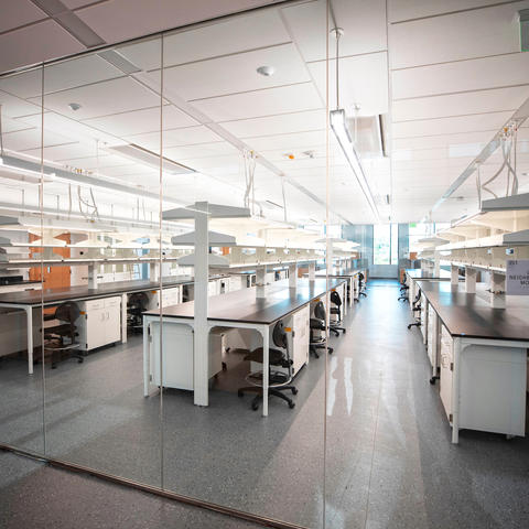 photo of lab in Research Building 2