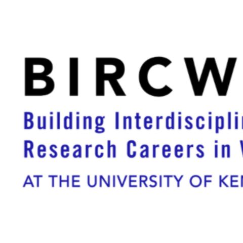 BIRCWH logo