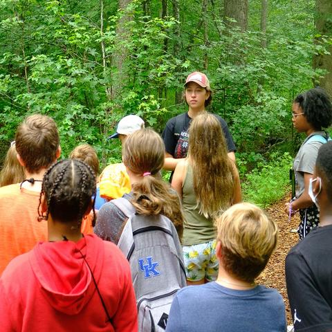 High school students tree identification