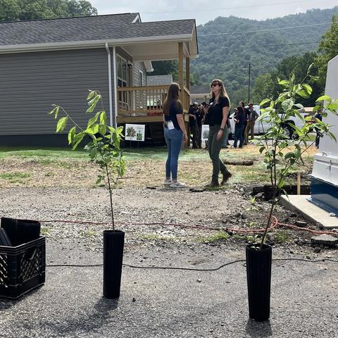 Women standing with trees for Urban Forest Initiative