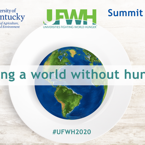Detail of graphic for the UFWH Summit 2020