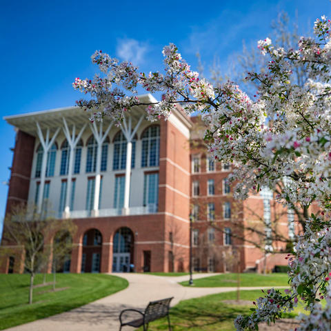 photo of W.T. Young Library with spring blooms in the foreground. Empty campus.