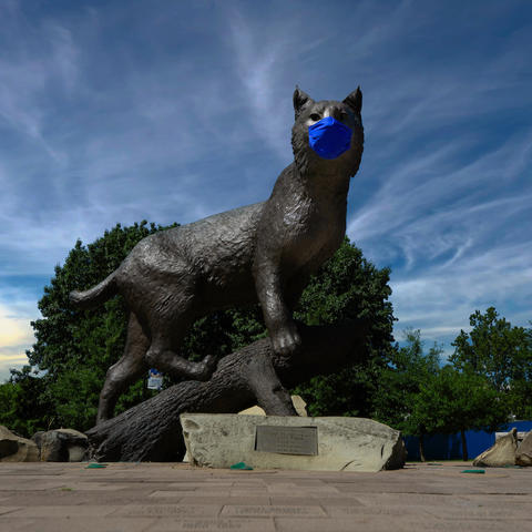 photo of Bowman the Wildcat at Wildcat Alumni Plaza wearing a mask during covid pandemic