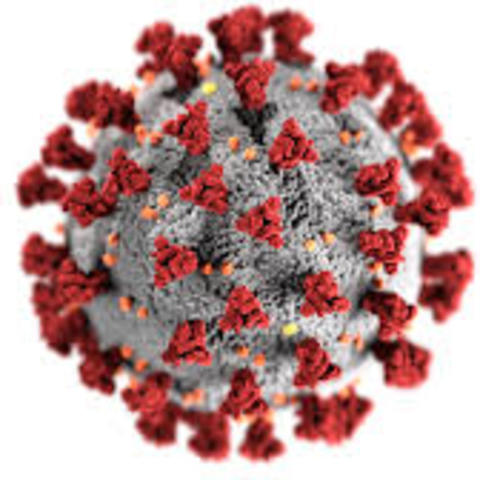 Illustration of COVID-19 virus particle