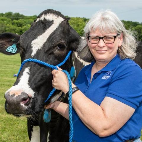 Donna Amaral-Phillips with cow