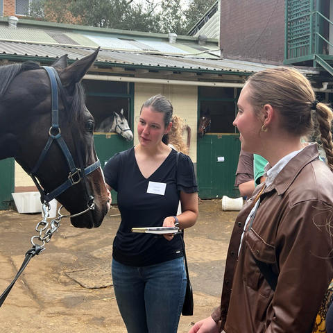 A dark horse wearing a blue halter stands in a stable yard while two people observe and interact with it. One person holds a notebook and reaches toward the horse’s muzzle, while another stands nearby listening.