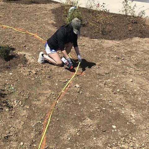 Megan Griebel helped select and arrange a diverse array of native trees, shrubs, perennials and grasses for the new green space. Photo provided.