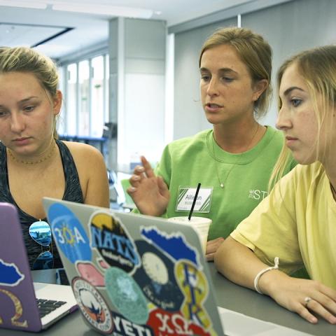 Students Helping Other Students at The Study