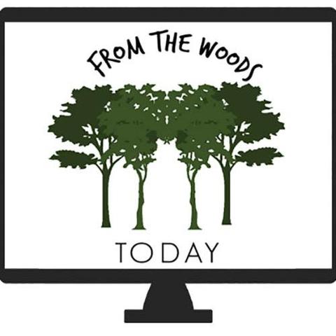 From The Woods Today logo