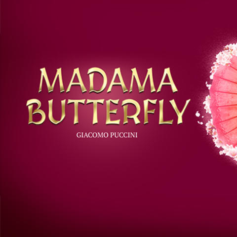 photo of web banner for "Madama Butterfly"