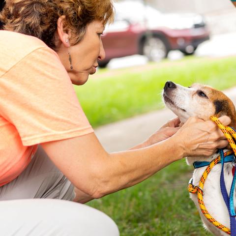 photo of woman petting a dog