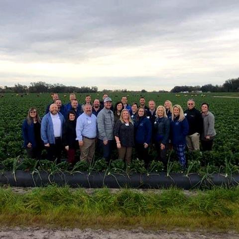 Members of the Kentucky Agricultural Leadership Program in strawberry field