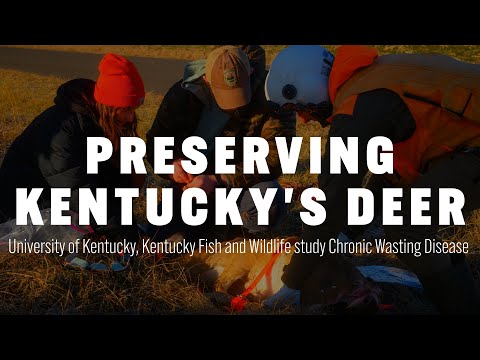 Thumbnail of video for Preserving Kentucky’s deer: UK, Kentucky Fish & Wildlife study chronic wasting disease 