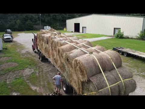 Thumbnail of video for Flooded Eastern Kentucky farmers receive hay, feed, supplies to get back on their feet