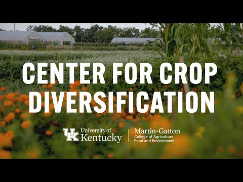 Thumbnail of video for UK Center for Crop Diversification celebrates 25 years helping farmers, small businesses thrive 