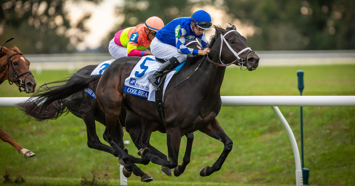 Celebrate Big Blue Day at Keeneland | UKNow