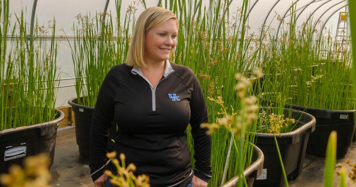 UK greenhouse study offers hope for protecting, cleansing waterways