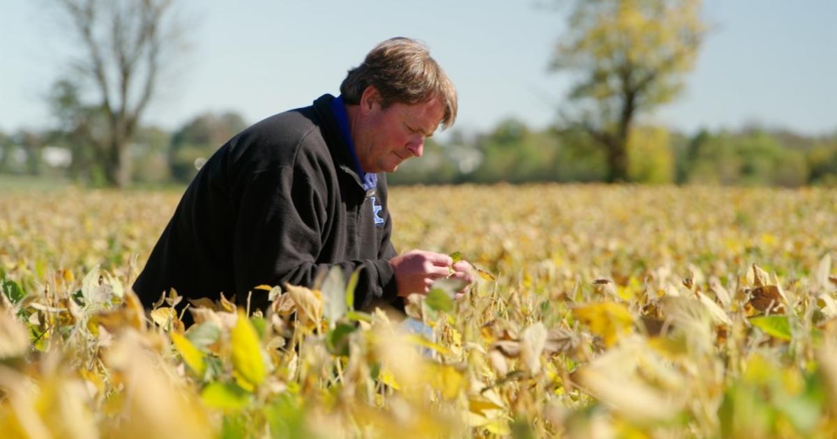 People Behind Our Research: Carl Bradley helps farmers fight costly crop diseases