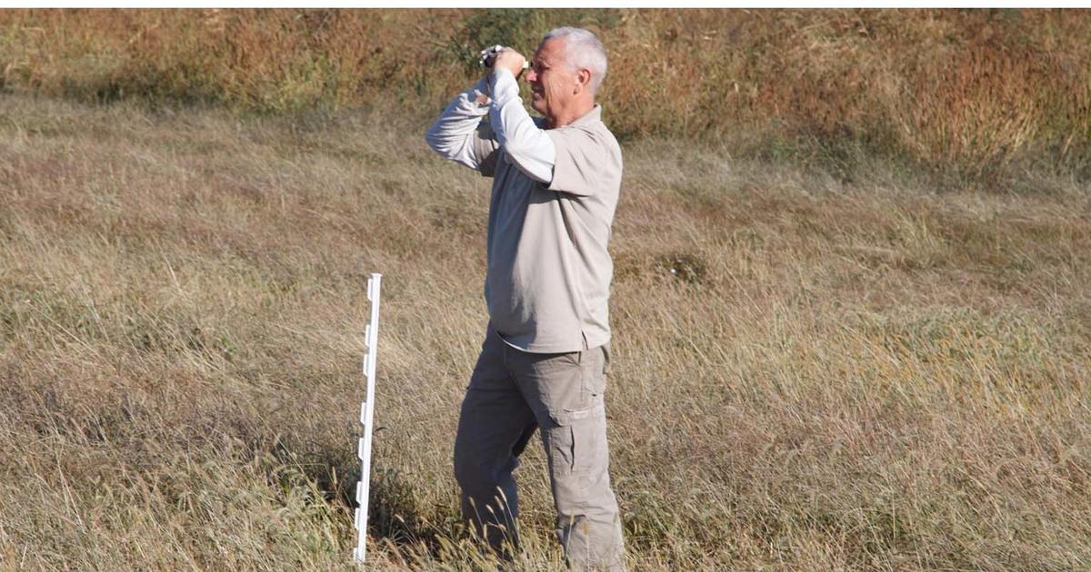 Backyard birdwatchers help UK scientists uncover what hawks really like to eat