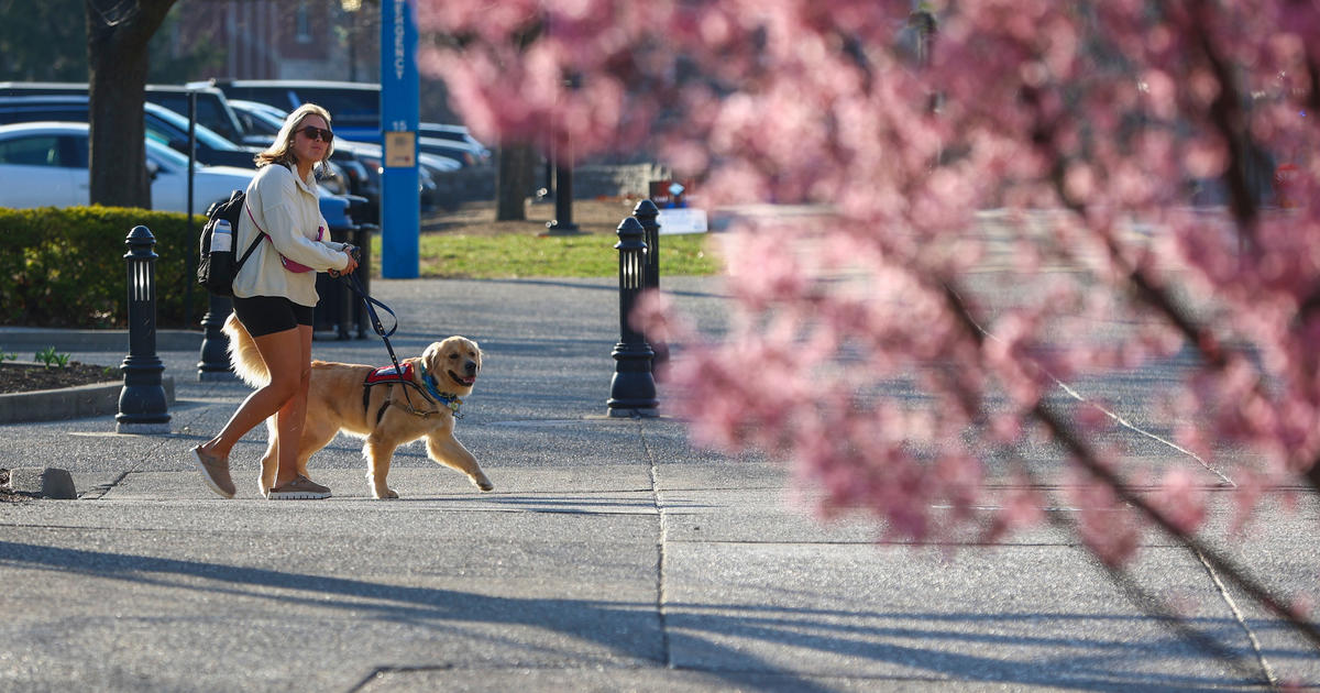 UK companion animal studies program explores the human-animal bond