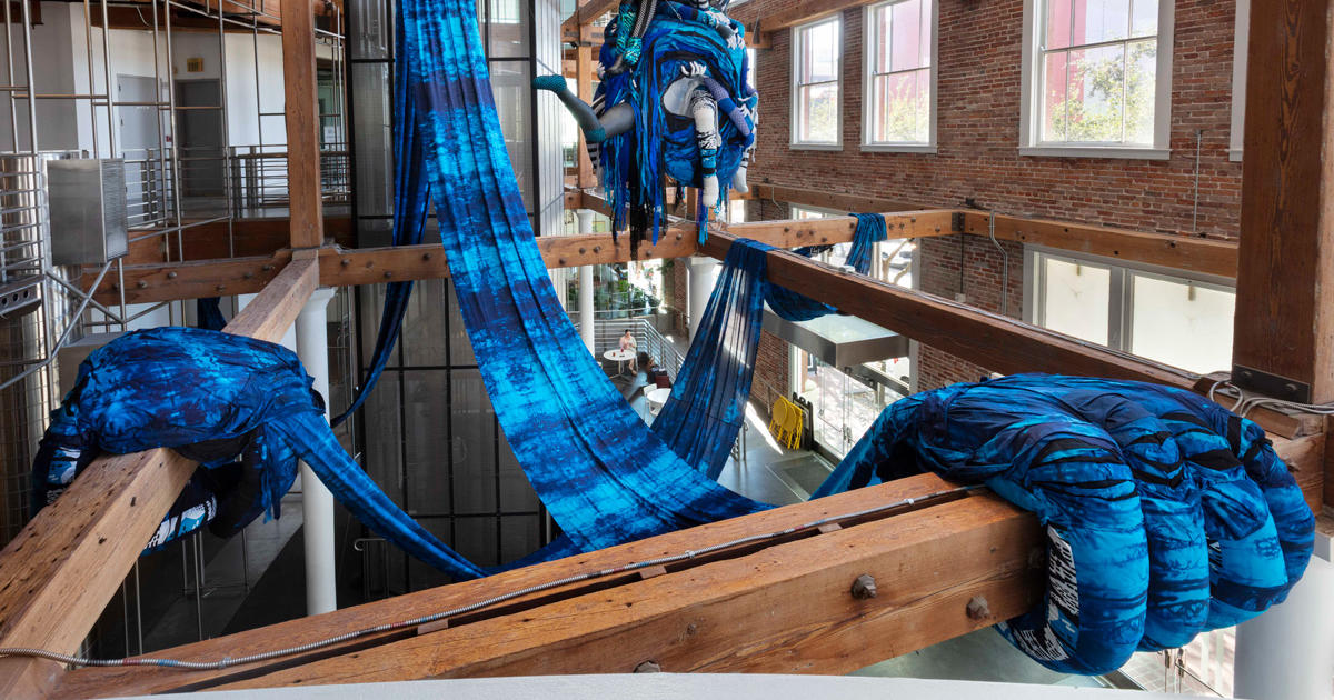 UK Art Museum announces Spring ’26 exhibitions and photography lecture