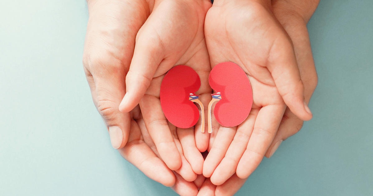 Give the gift of life — What to know about donating a kidney UKNow