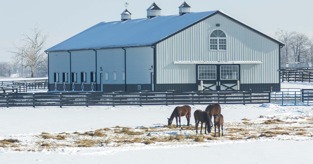 UK project aims to help Kentucky hay producers, horse owners meet in the middle