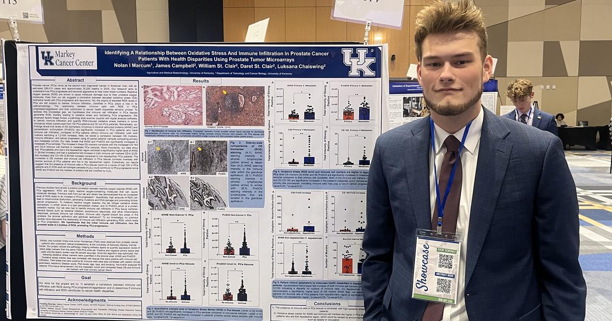 Call for proposals: Commonwealth Undergraduate Research Experience ...