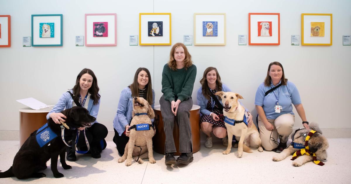 Young patient channels cancer care experience into ‘pup art’ Young patient channels cancer care experience into ‘pup art’
