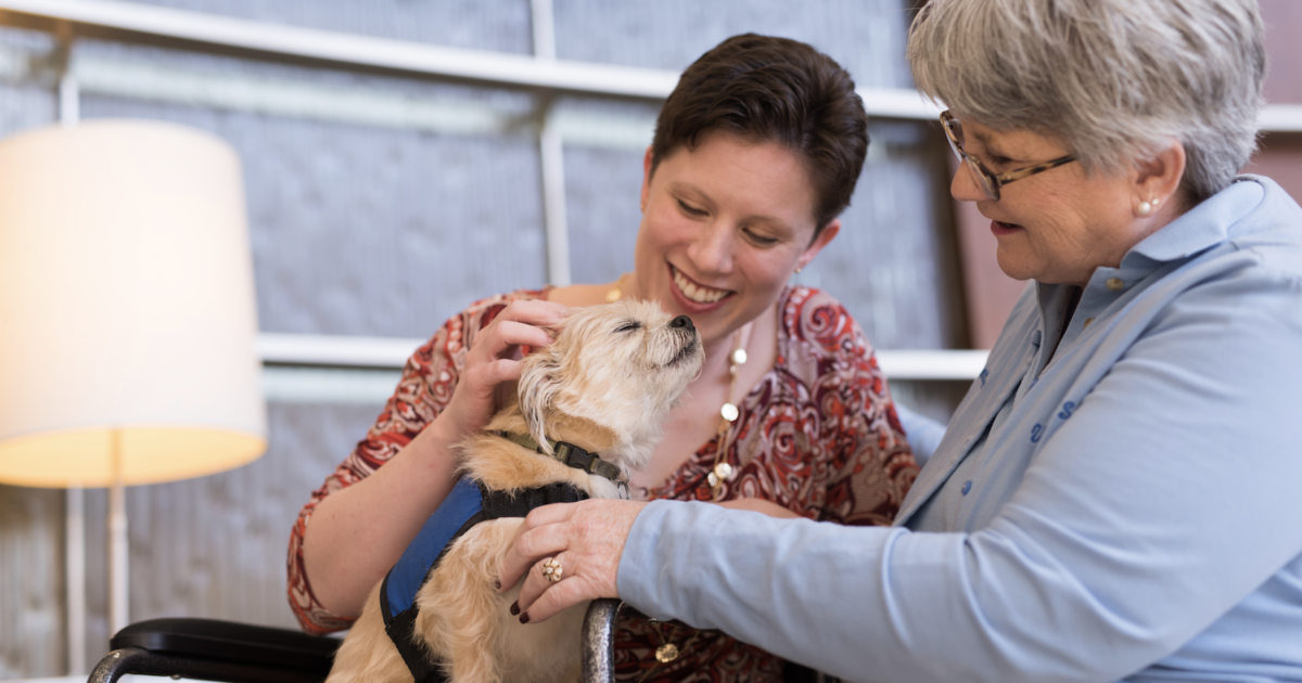 Join Uk Healthcare In Celebrating National Pet Therapy Day