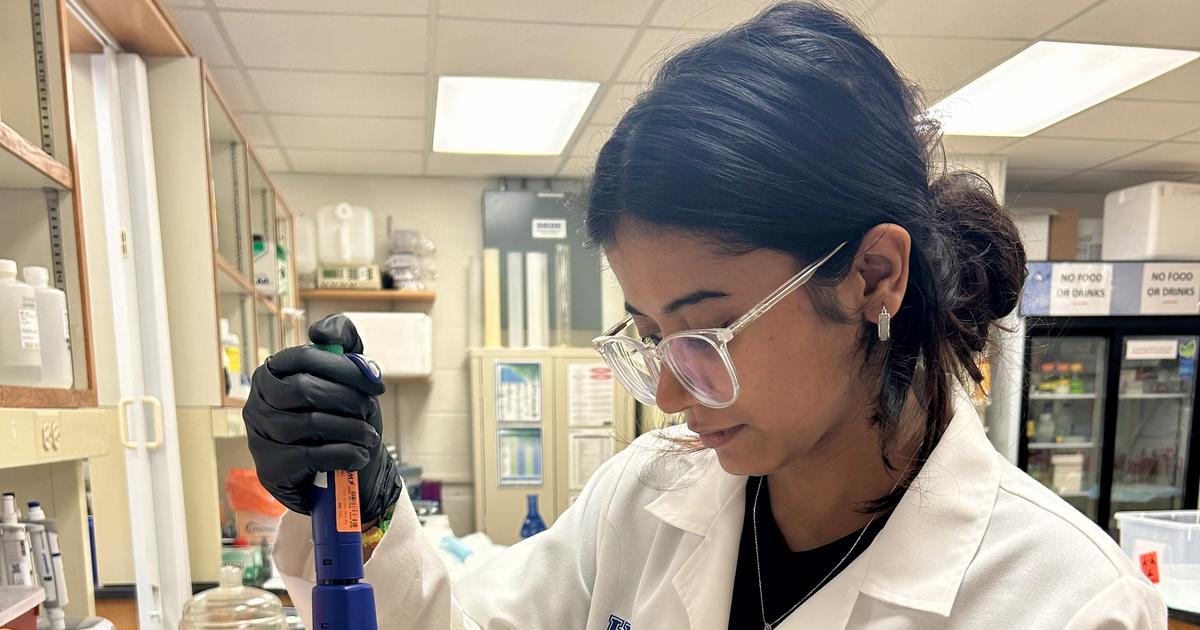 Summer opportunities for UK undergraduate researchers