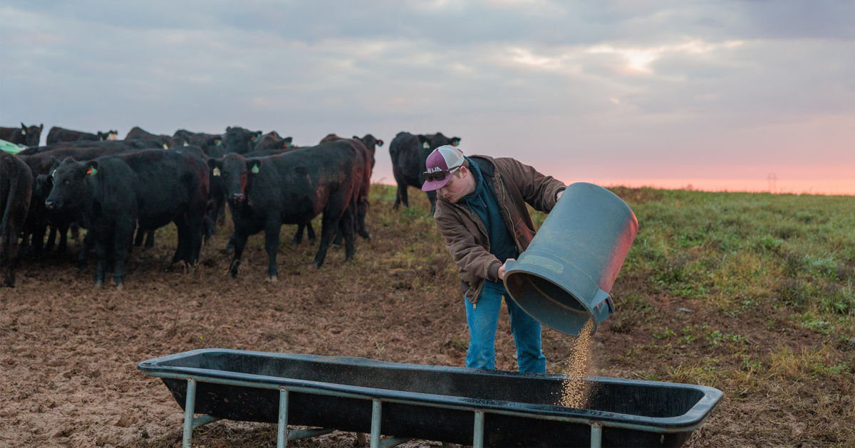 UK senior wants to help farmers ‘continue to do what they love’