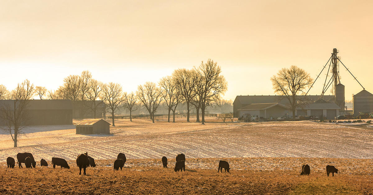 UK economists point to livestock strength, row crop strain in 2026