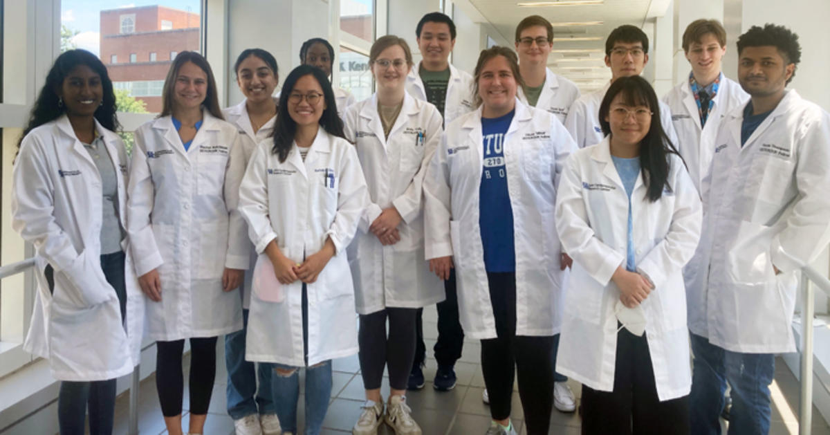 biomedical summer research programs for undergraduates