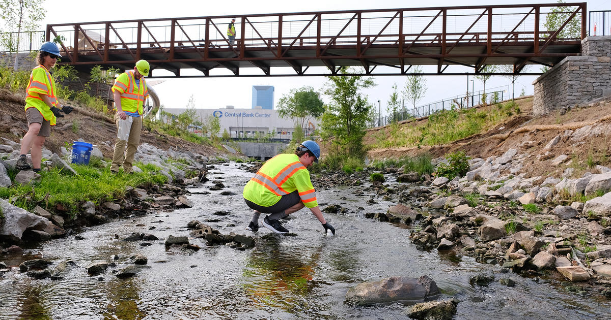 UK landscape architecture faculty, students contribute to success of Town Branch Commons