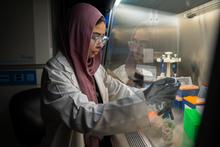 UK student at the time Elaf Ghoneim uses lab equipment under a chemical hood