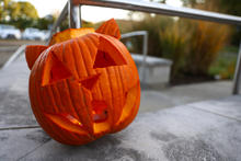 A pumpkin carved into a Wildcat. 
