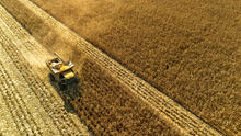 Aerial view of a combine harvester harvesting a large golden cornfield. The machine moves through rows of mature corn, leaving harvested strips behind while a cloud of dust trails in its wake under bright sunlight.
