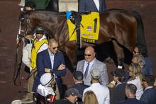 A dark brown racehorse wearing a yellow No. 1 saddlecloth stands with a handler and a group of people in a sunlit paddock.