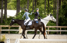 Two riders in helmets and formal equestrian attire ride side by side in an outdoor dressage arena, reaching across to clasp hands while mounted on a dark horse and a white horse. The horses wear competition number tags. 