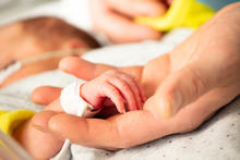 A newborn holds a hand.