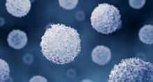 Close-up microscopic-style image of multiple round, textured white cell-like structures suspended against a dark blue background. A large spherical structure is in sharp focus near the center, while others appear at varying sizes and depths.