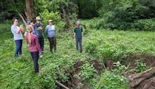 A group of people standing in a wooded area near an eroded creek bank.