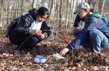 Two people crouch on a leaf-covered forest floor collecting plant samples during field research. One person holds a small specimen bag while the other reaches toward a cluster of low-growing plants. 