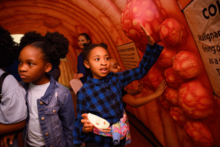 Children explore a walk‑through colon exhibit, touching and examining large models of the intestinal lining.