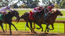 Thoroughbreds racing 